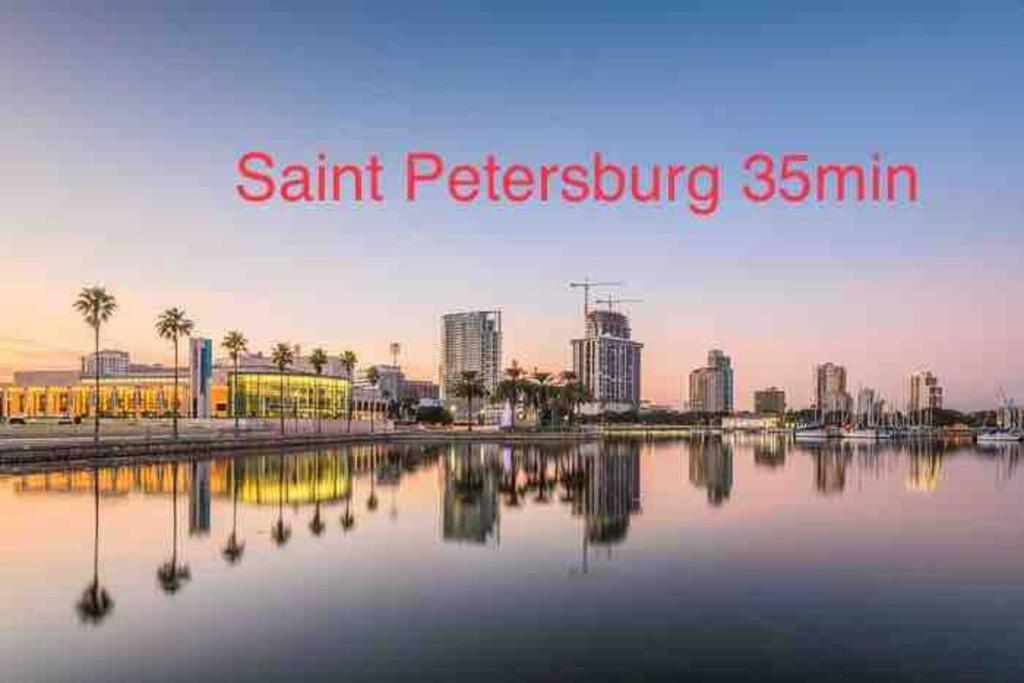 Grey Novo + Free-parking&wifi Tampa