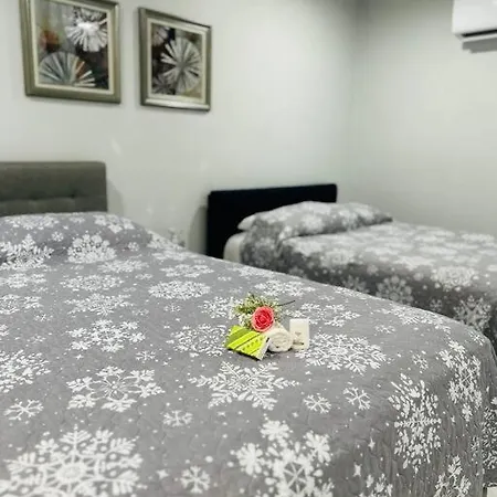 Grey Novo Studio + Free-Parking&Wifi Tampa Extérieur photo