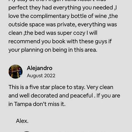 Grey Novo Studio + Free-Parking&Wifi Tampa Extérieur photo