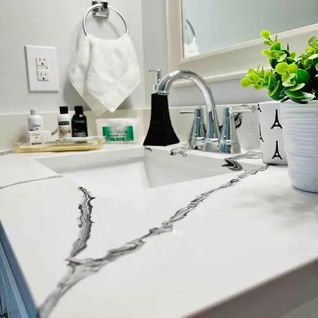 Grey Novo Studio + Free-Parking&Wifi Tampa Extérieur photo