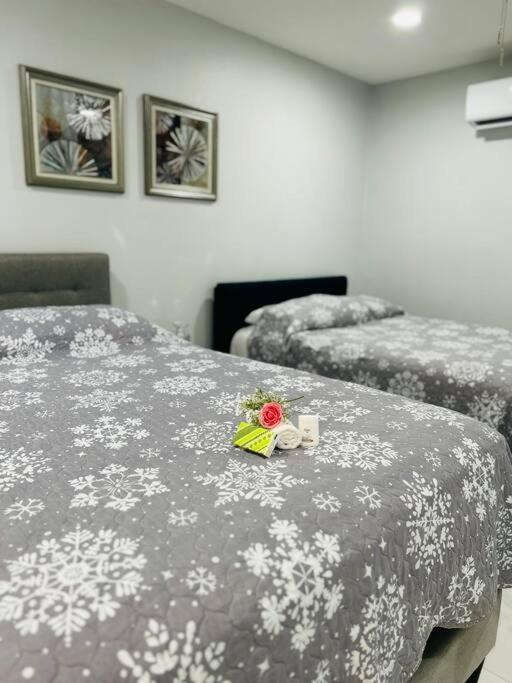 Grey Novo + Free-parking&wifi Tampa